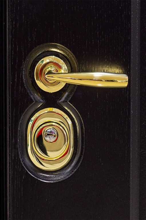 Плавные линии и золотой цвет фурнитуры дополняют классический образ двери