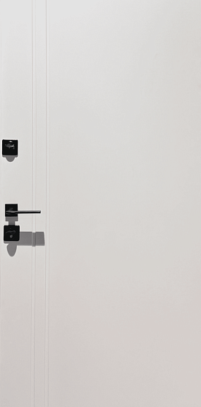 Металлическую дверь Грифин для квартиры можно заказать за 8 807,0 руб. в Минске